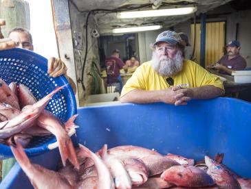 Gulf of Mexico fisherman Buddy Guindon