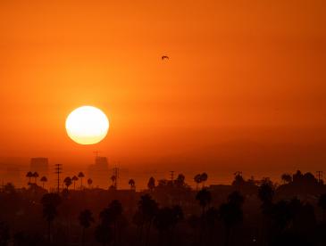 Sun rising over a city, with the sky an orange hue.