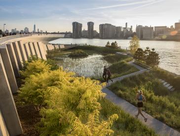 People jog through the recreated tidal marshes at Hunters Point