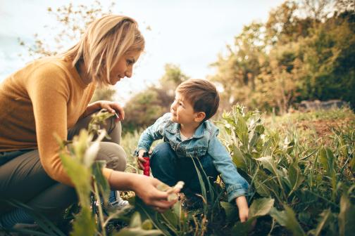 Mother and child planting in nature