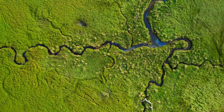 Bird's-eye view of a coastal marsh in Oregon