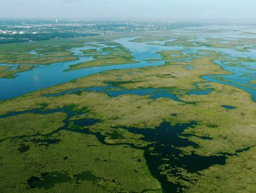 A city on vast wetlands