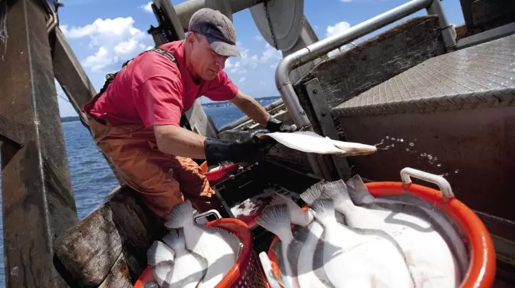 Fisherman with his catch